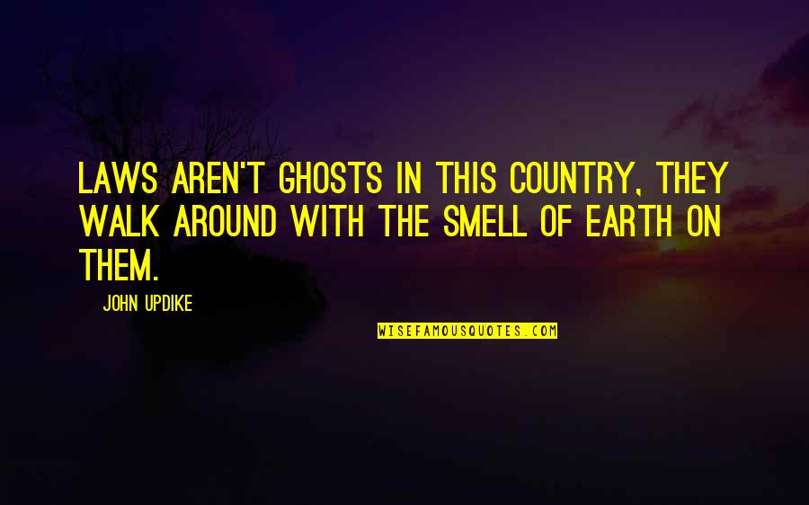 Lame Jokes Quotes By John Updike: Laws aren't ghosts in this country, they walk