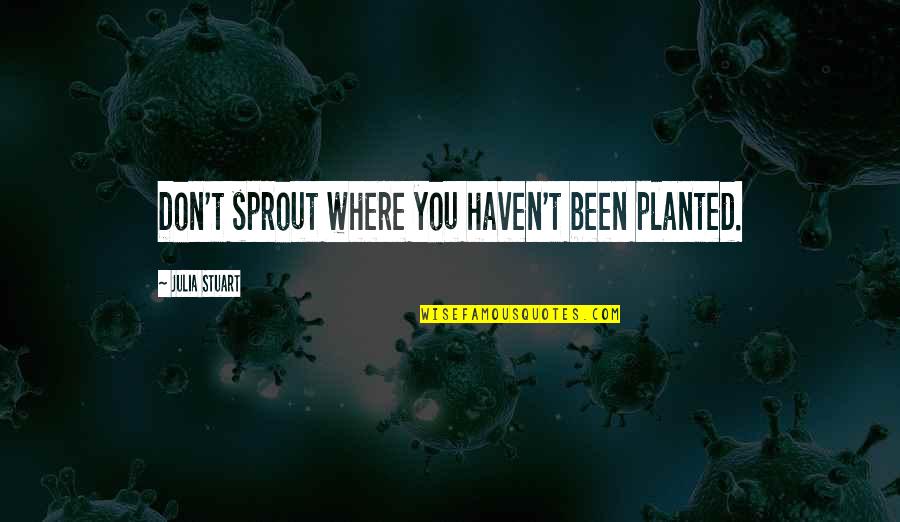 Lamelle Clarity Quotes By Julia Stuart: Don't sprout where you haven't been planted.