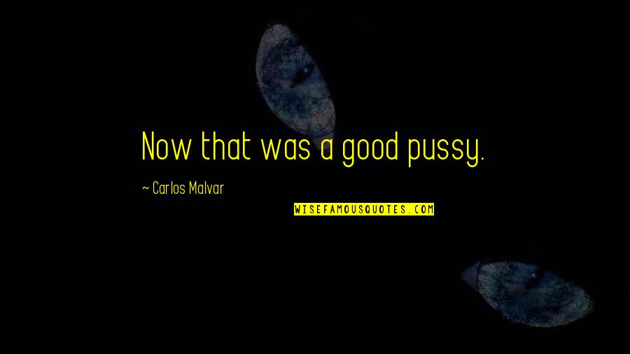 Lamkani Quotes By Carlos Malvar: Now that was a good pussy.