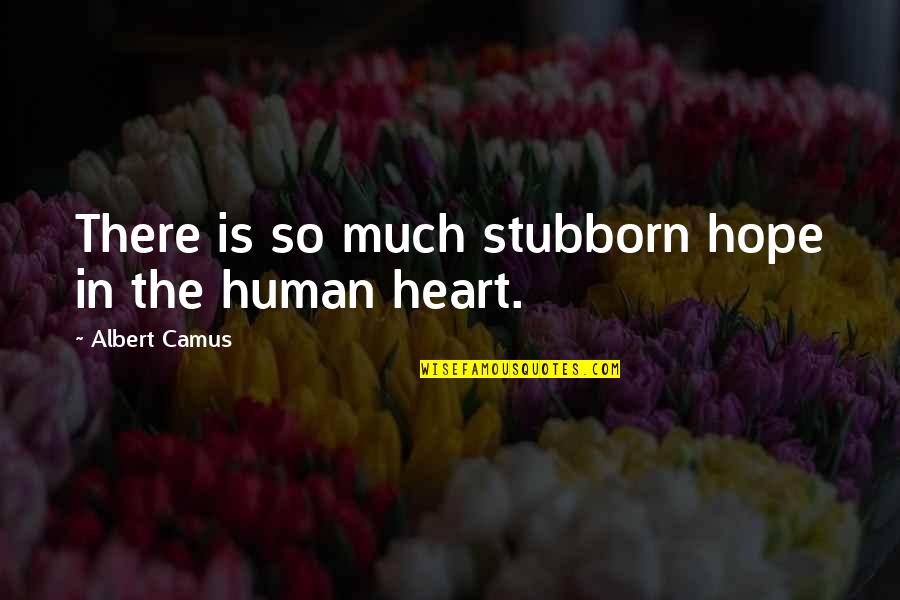 Lamonsoff Scenes Quotes By Albert Camus: There is so much stubborn hope in the Lamonsoff Scenes Quotes By Albert Camus: There is so much stubborn hope in the