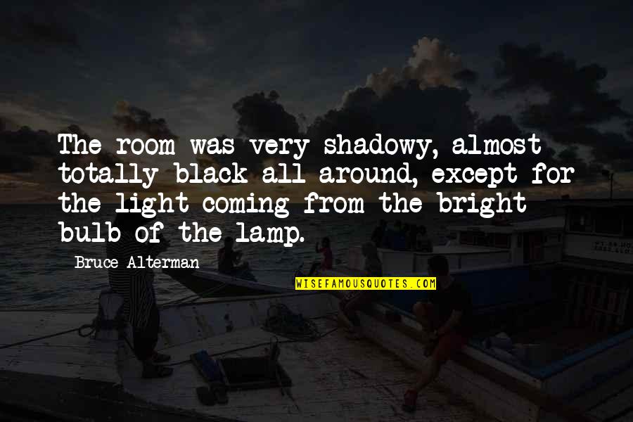 Lamp Quotes By Bruce Alterman: The room was very shadowy, almost totally black