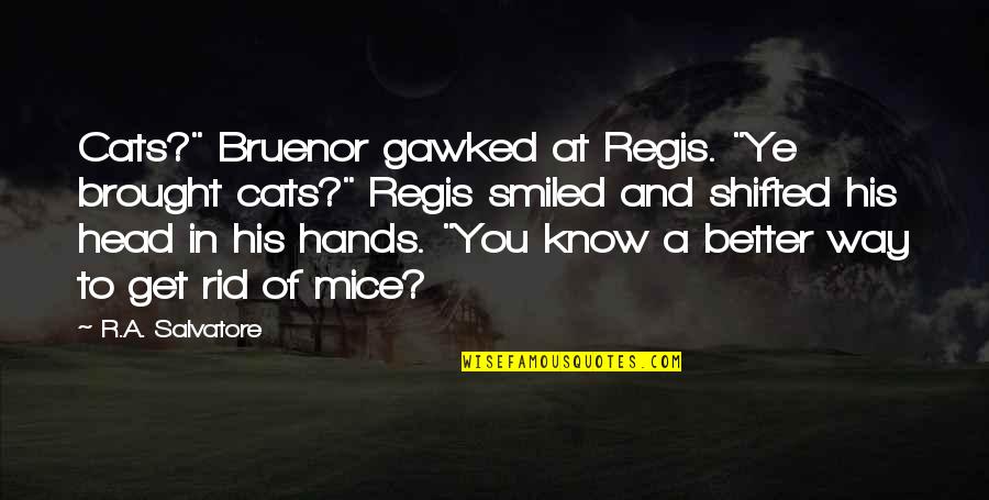 Lamphere Center Quotes By R.A. Salvatore: Cats?" Bruenor gawked at Regis. "Ye brought cats?"