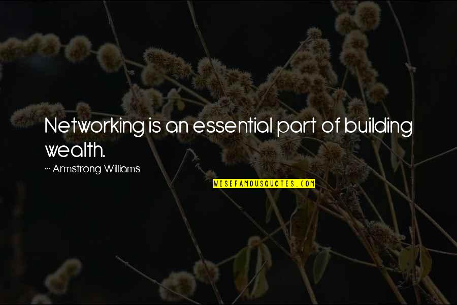 Lampi O Significado Quotes By Armstrong Williams: Networking is an essential part of building wealth.