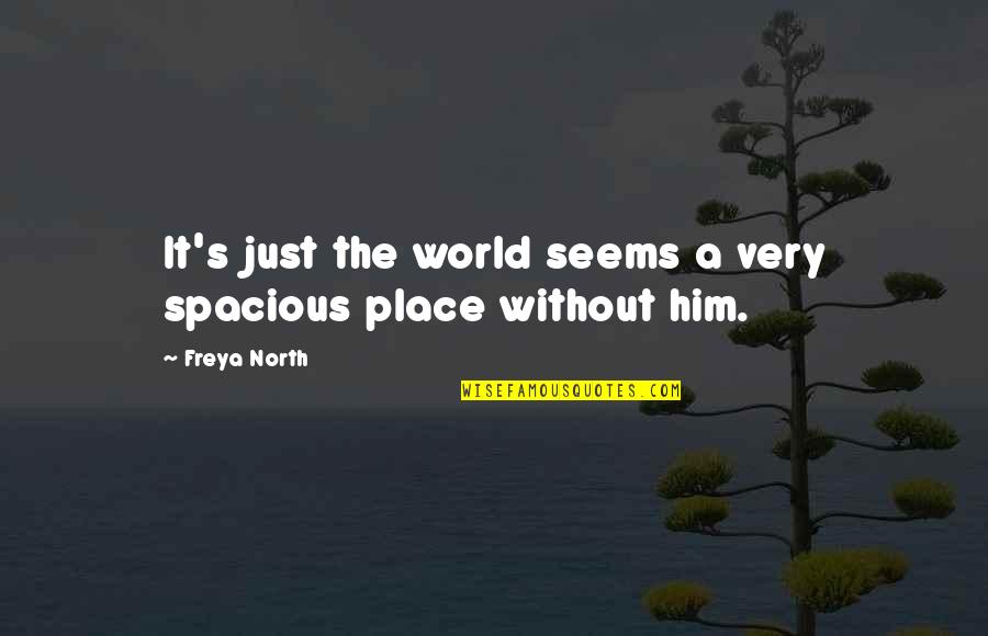 Lan Fan Quotes By Freya North: It's just the world seems a very spacious