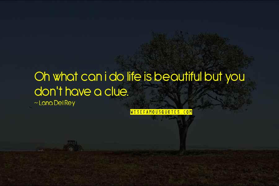 Lana Rey Quotes By Lana Del Rey: Oh what can i do life is beautiful