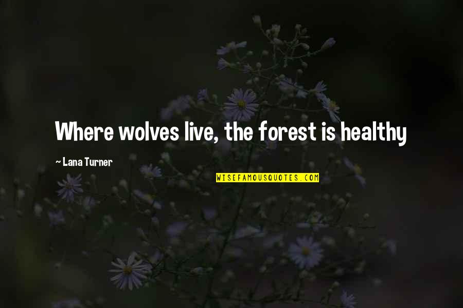 Lana's Quotes By Lana Turner: Where wolves live, the forest is healthy Lana's Quotes By Lana Turner: Where wolves live, the forest is healthy