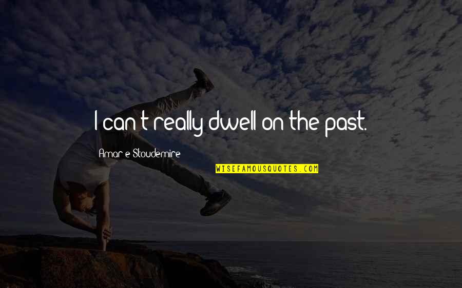 Lancellotti Housewares Quotes By Amar'e Stoudemire: I can't really dwell on the past. Lancellotti Housewares Quotes By Amar'e Stoudemire: I can't really dwell on the past.