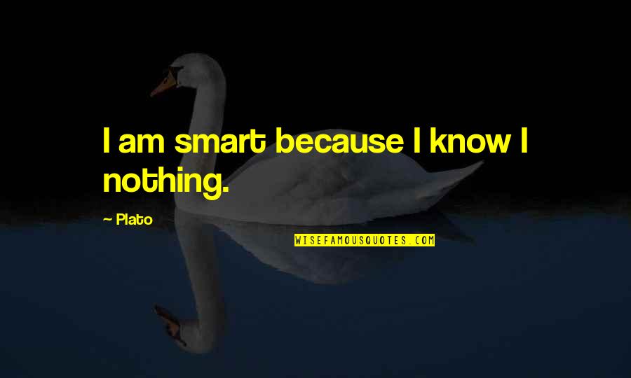 Lancia Thesis Quotes By Plato: I am smart because I know I nothing.