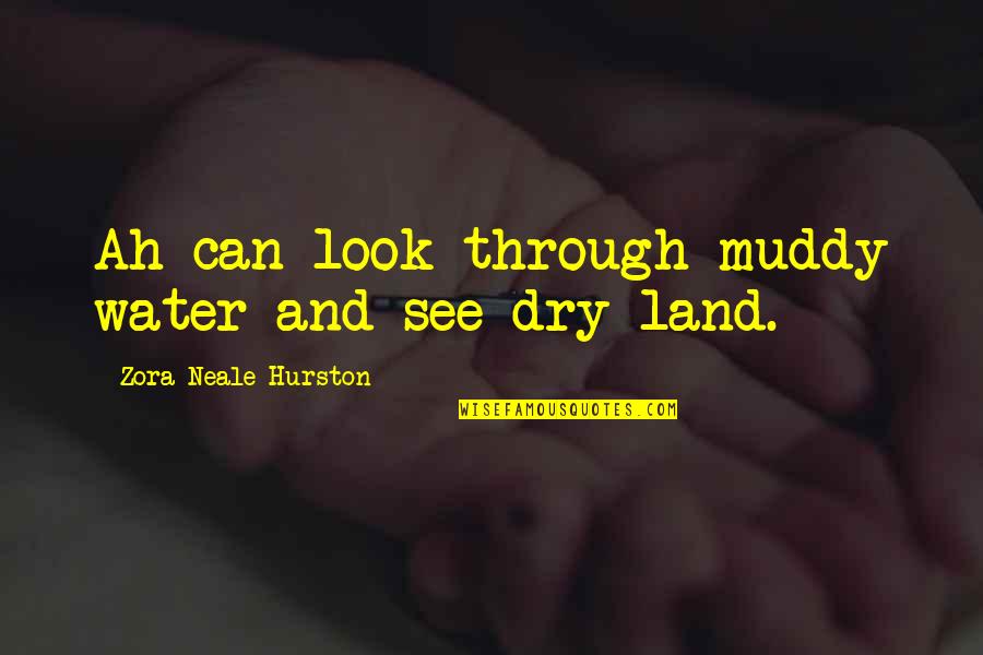 Land And Water Quotes By Zora Neale Hurston: Ah can look through muddy water and see