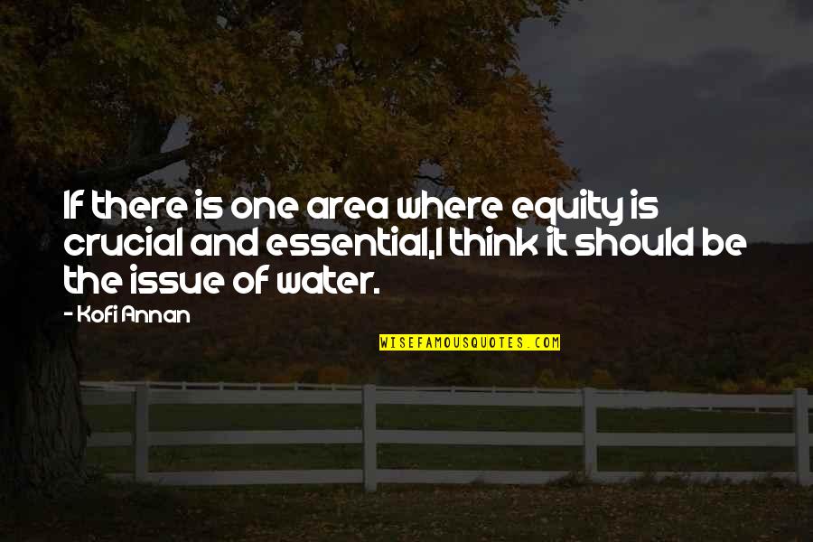 Land Clearing Quotes By Kofi Annan: If there is one area where equity is