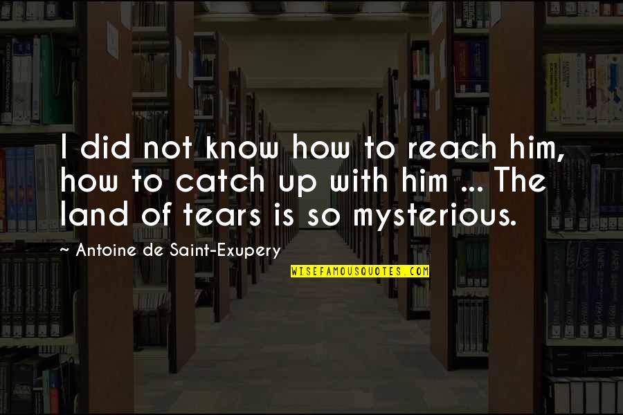 Land Not Quotes By Antoine De Saint-Exupery: I did not know how to reach him, Land Not Quotes By Antoine De Saint-Exupery: I did not know how to reach him,