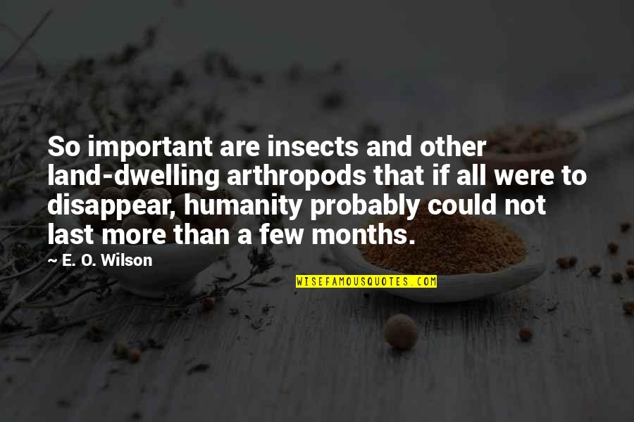 Land Not Quotes By E. O. Wilson: So important are insects and other land-dwelling arthropods Land Not Quotes By E. O. Wilson: So important are insects and other land-dwelling arthropods