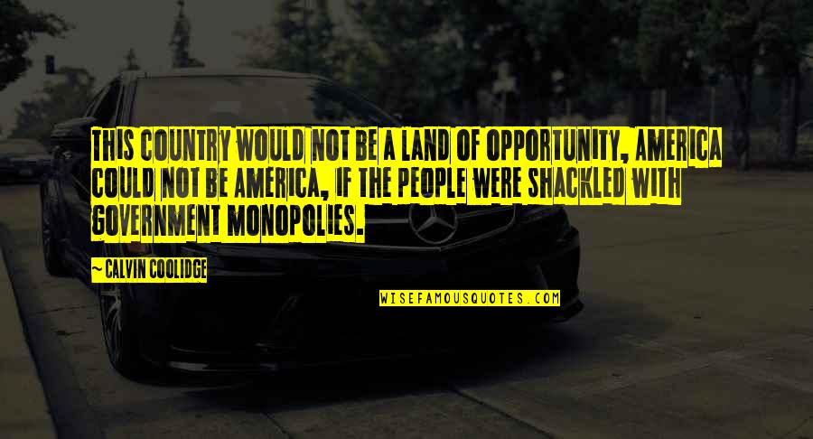 Land With Quotes By Calvin Coolidge: This country would not be a land of Land With Quotes By Calvin Coolidge: This country would not be a land of