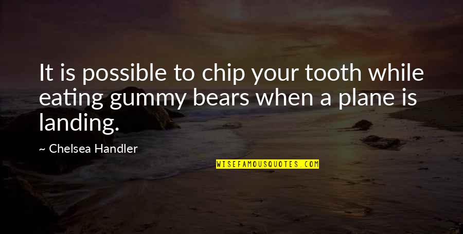 Landing A Plane Quotes By Chelsea Handler: It is possible to chip your tooth while