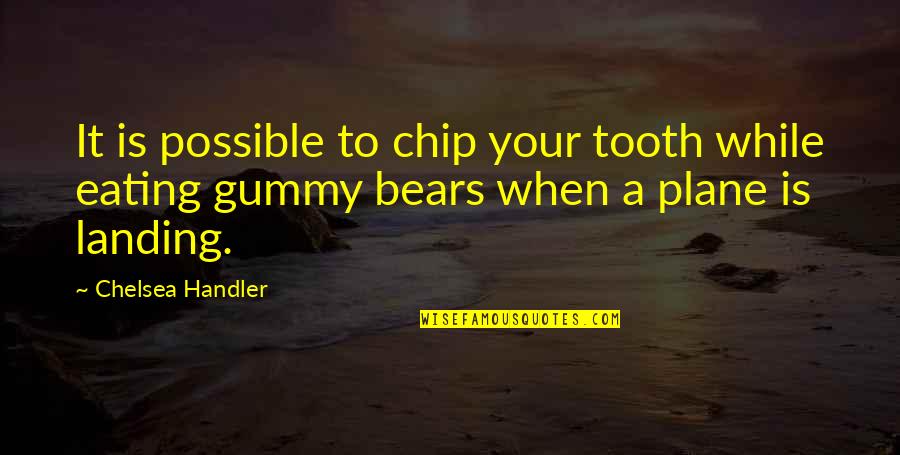 Landing Quotes By Chelsea Handler: It is possible to chip your tooth while