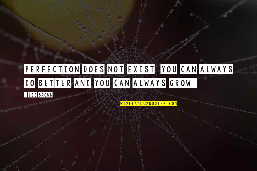 Landivar Y Quotes By Les Brown: Perfection does not exist you can always do