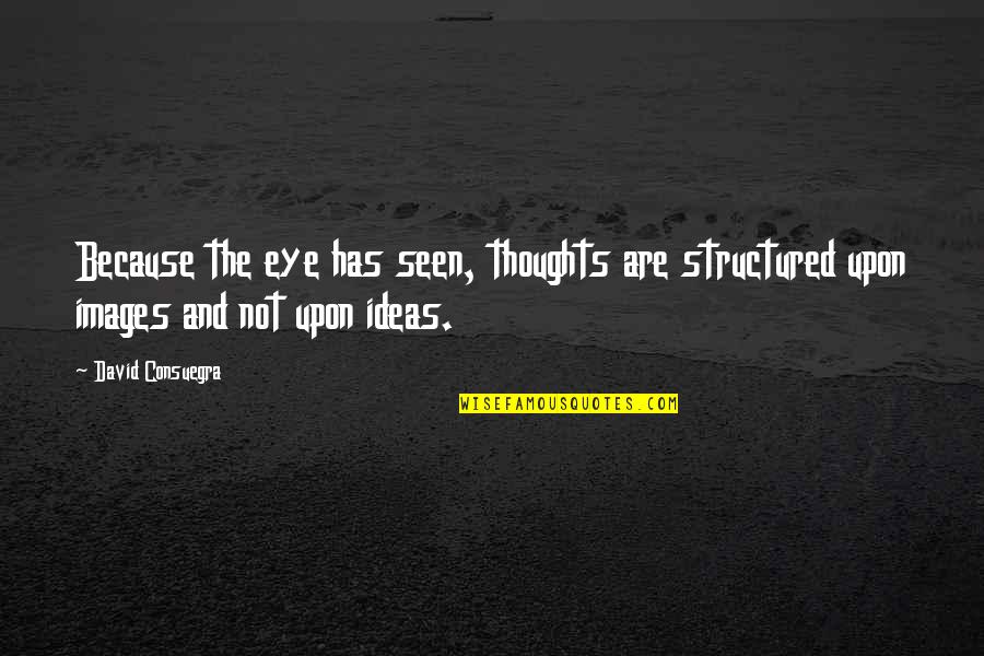 Landlubber Pirate Quotes By David Consuegra: Because the eye has seen, thoughts are structured