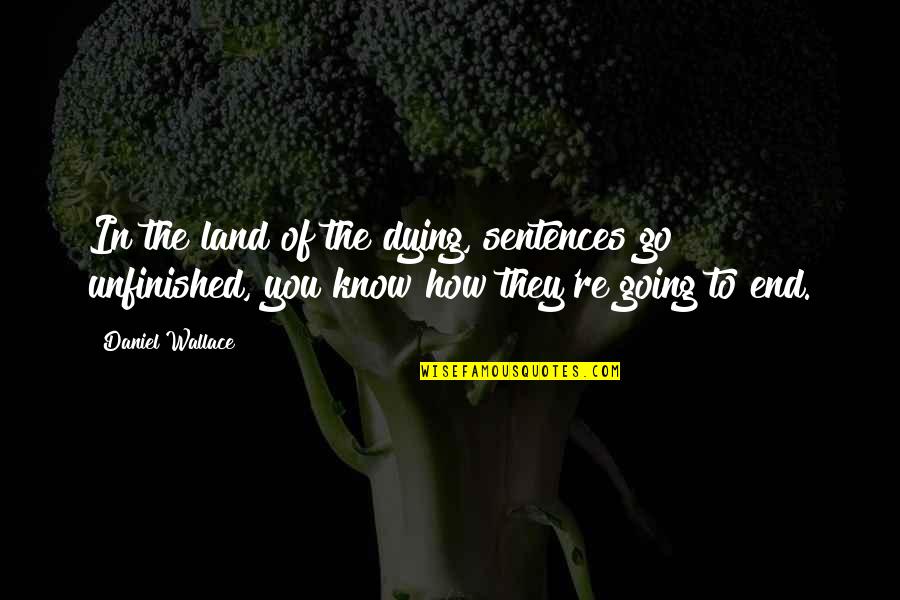 Land's End Quotes By Daniel Wallace: In the land of the dying, sentences go