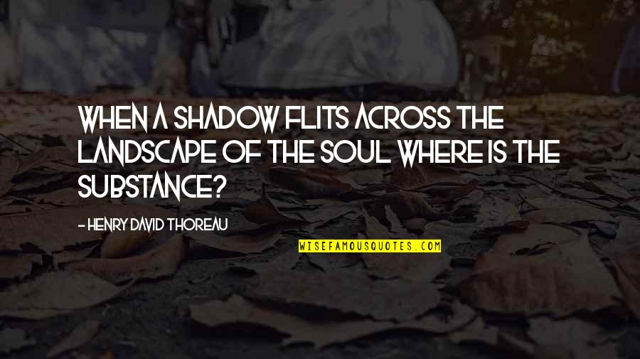 Landscape As Character Quotes By Henry David Thoreau: When a shadow flits across the landscape of