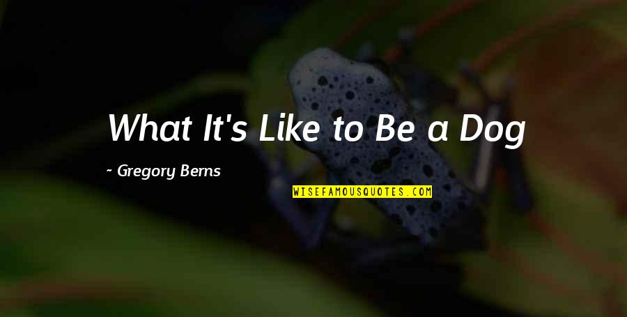 Landscaping Price Quotes By Gregory Berns: What It's Like to Be a Dog