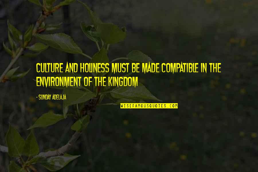 Landseer Ect Quotes By Sunday Adelaja: Culture and holiness must be made compatible in