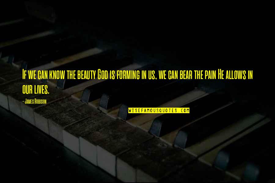 Lanesha Debardelaben Quotes By James Robison: If we can know the beauty God is Lanesha Debardelaben Quotes By James Robison: If we can know the beauty God is