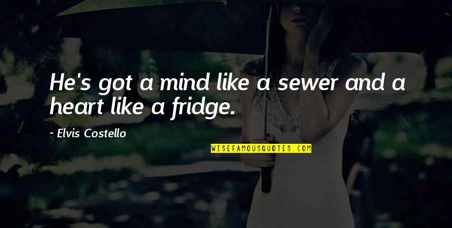 Langfeldesigns Quotes By Elvis Costello: He's got a mind like a sewer and