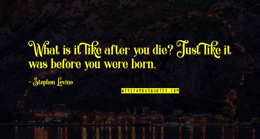 Langgar Adalah Quotes By Stephen Levine: What is it like after you die? Just