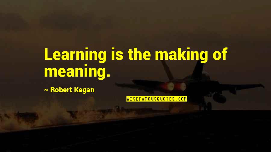Langnickel Quotes By Robert Kegan: Learning is the making of meaning.