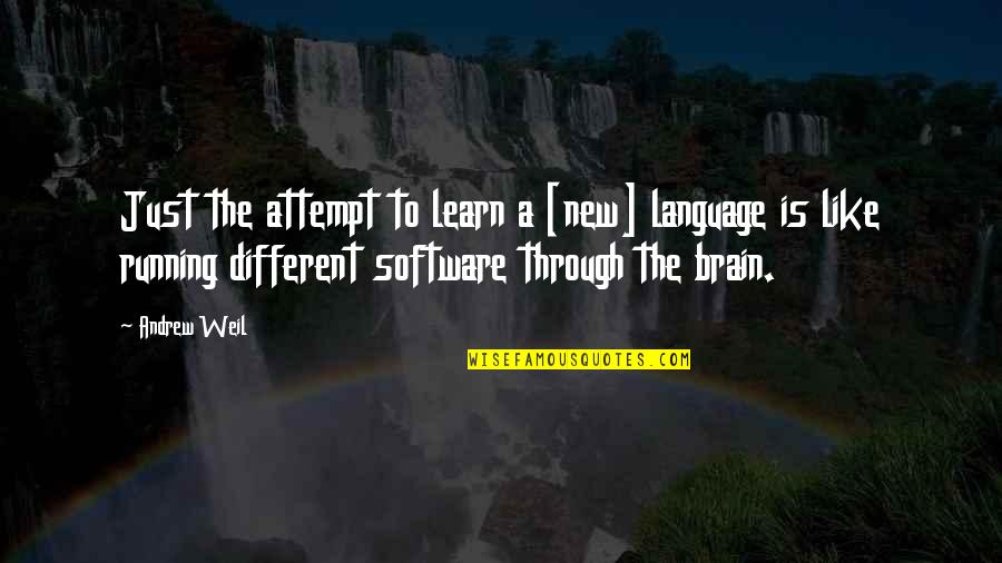 Language And Brain Quotes By Andrew Weil: Just the attempt to learn a [new] language