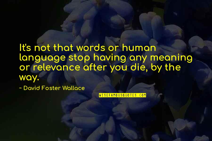 Language And Meaning Quotes By David Foster Wallace: It's not that words or human language stop