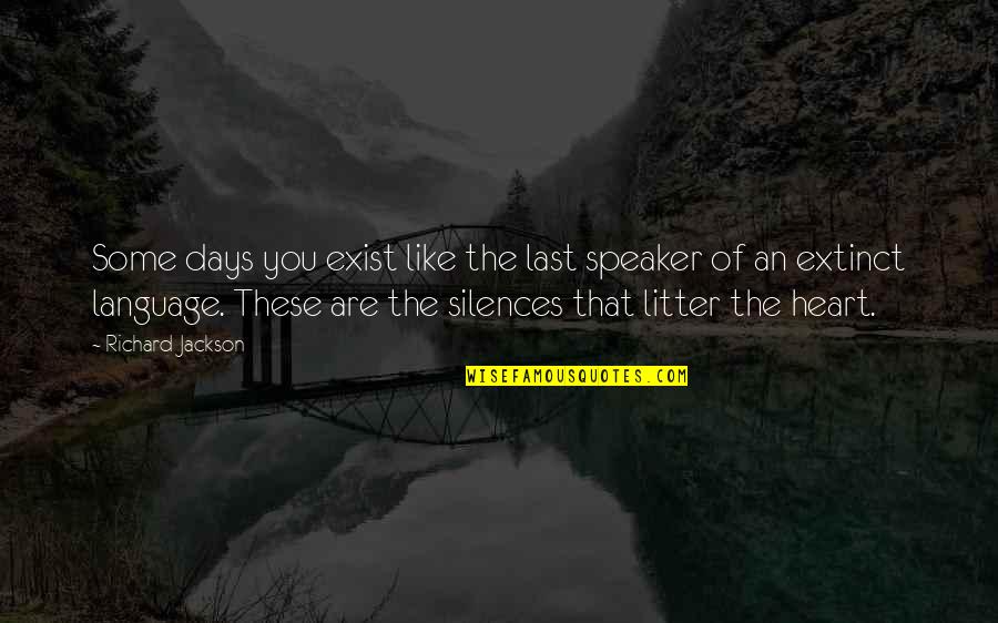 Language And Silence Quotes By Richard Jackson: Some days you exist like the last speaker