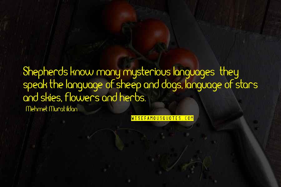 Language They Quotes By Mehmet Murat Ildan: Shepherds know many mysterious languages; they speak the