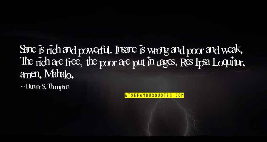 Languageless Quotes By Hunter S. Thompson: Sane is rich and powerful. Insane is wrong Languageless Quotes By Hunter S. Thompson: Sane is rich and powerful. Insane is wrong