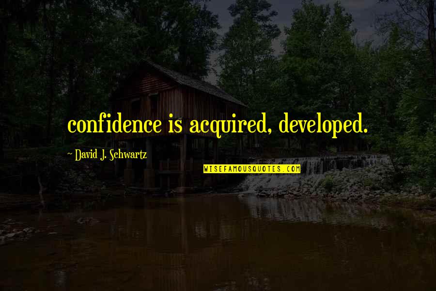 Languideciente Quotes By David J. Schwartz: confidence is acquired, developed.