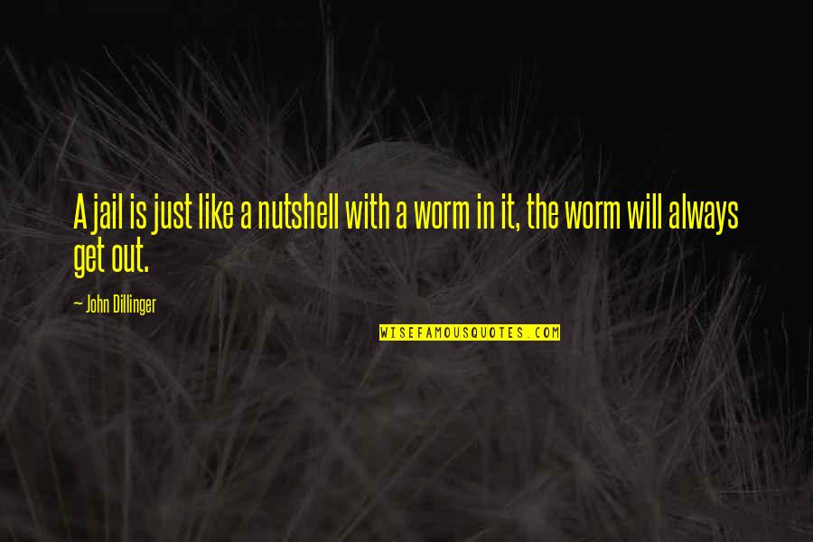 Langway Nissan Quotes By John Dillinger: A jail is just like a nutshell with