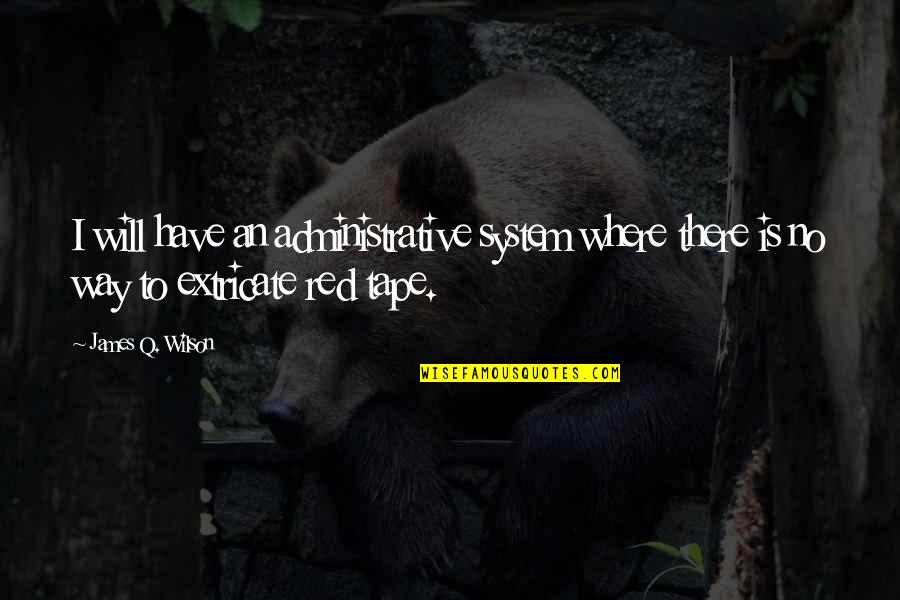 Lanimal Terrestre Quotes By James Q. Wilson: I will have an administrative system where there