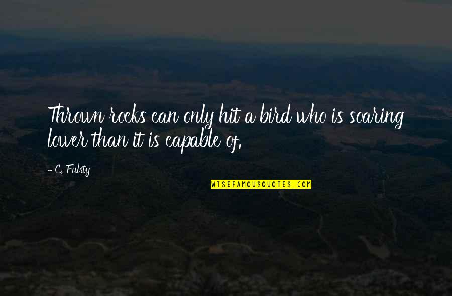 Lanitis Cyprus Quotes By C. Fulsty: Thrown rocks can only hit a bird who