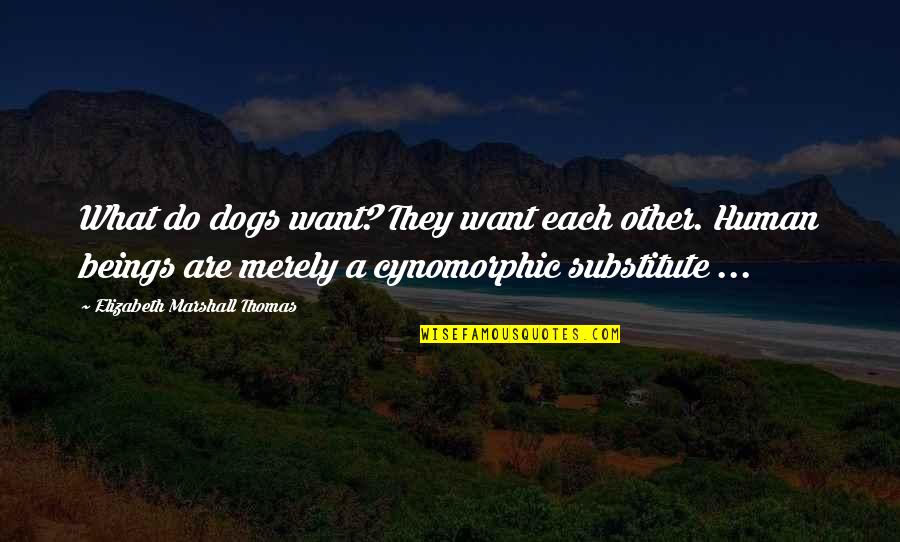 Lankester Botanial Gardens Quotes By Elizabeth Marshall Thomas: What do dogs want? They want each other. Lankester Botanial Gardens Quotes By Elizabeth Marshall Thomas: What do dogs want? They want each other.