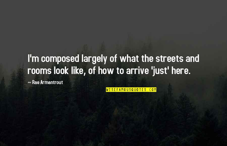 Lannonce Arte Quotes By Rae Armantrout: I'm composed largely of what the streets and