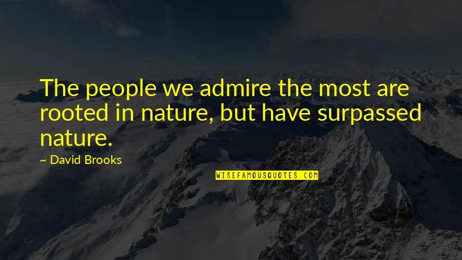 Lantay Na Quotes By David Brooks: The people we admire the most are rooted