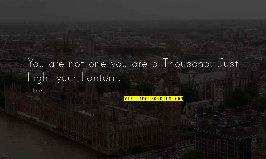 Lantern Light Quotes By Rumi: You are not one you are a Thousand.