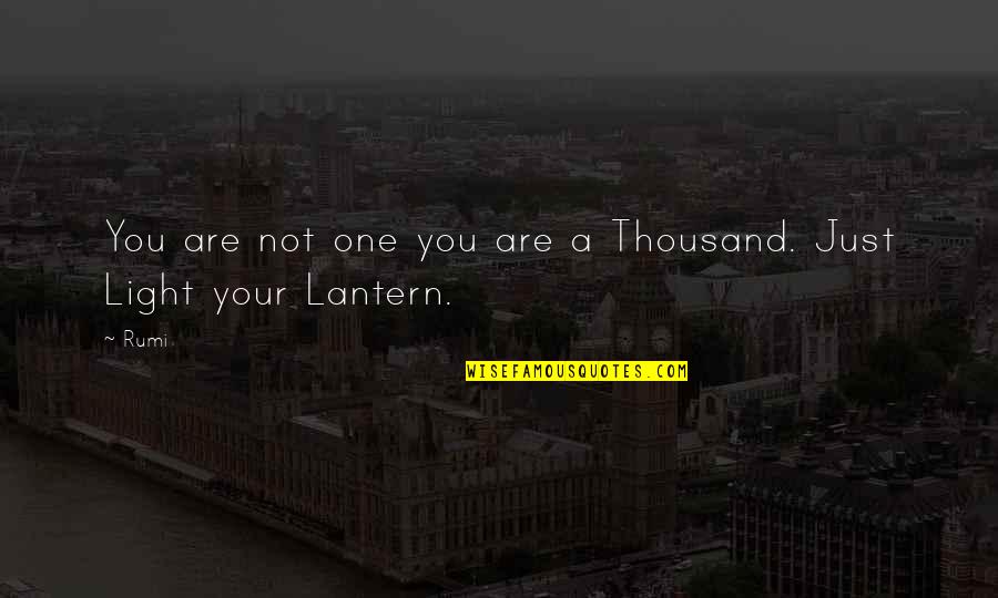 Lantern Quotes By Rumi: You are not one you are a Thousand.