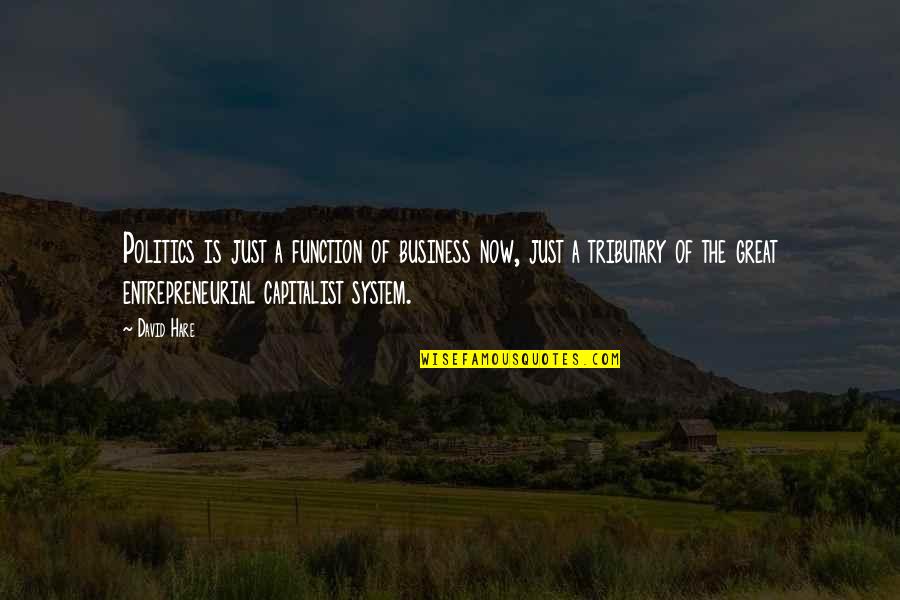 Lantern Yard Quotes By David Hare: Politics is just a function of business now,