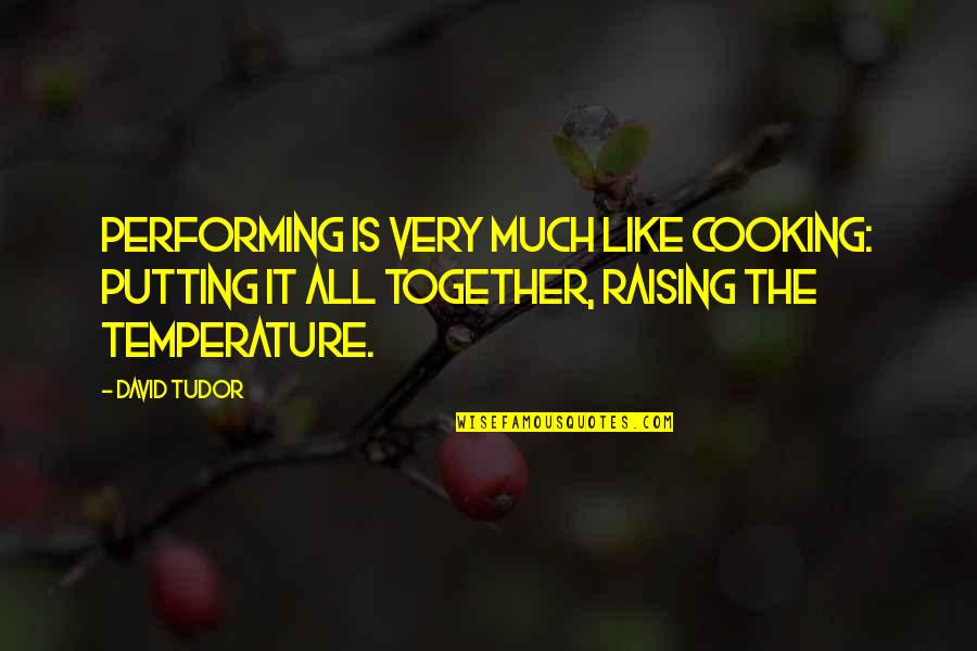 Lanthorne Llc Quotes By David Tudor: Performing is very much like cooking: putting it