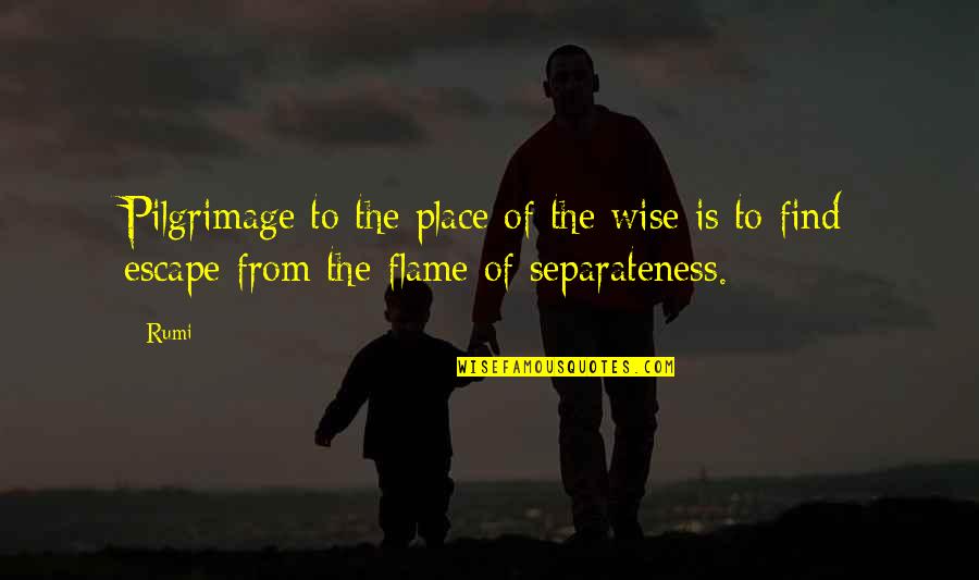 Lanying Quotes By Rumi: Pilgrimage to the place of the wise is