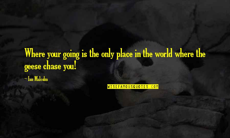Lanzamientos De Beisbol Quotes By Ian Malcolm: Where your going is the only place in