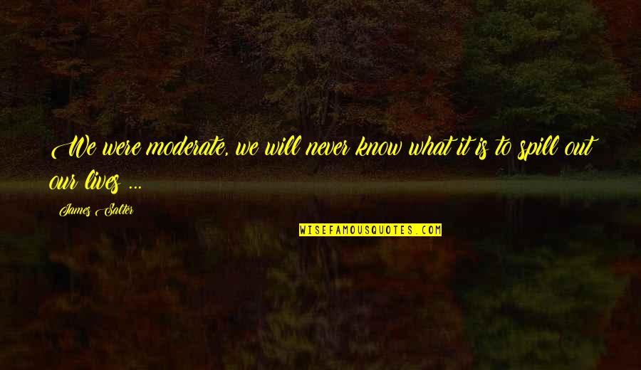 Lanzando Humanos Quotes By James Salter: We were moderate, we will never know what
