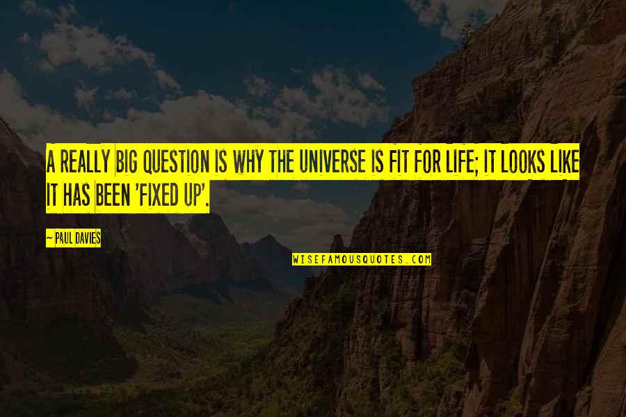 Lanzotti Springfield Quotes By Paul Davies: A really big question is why the universe