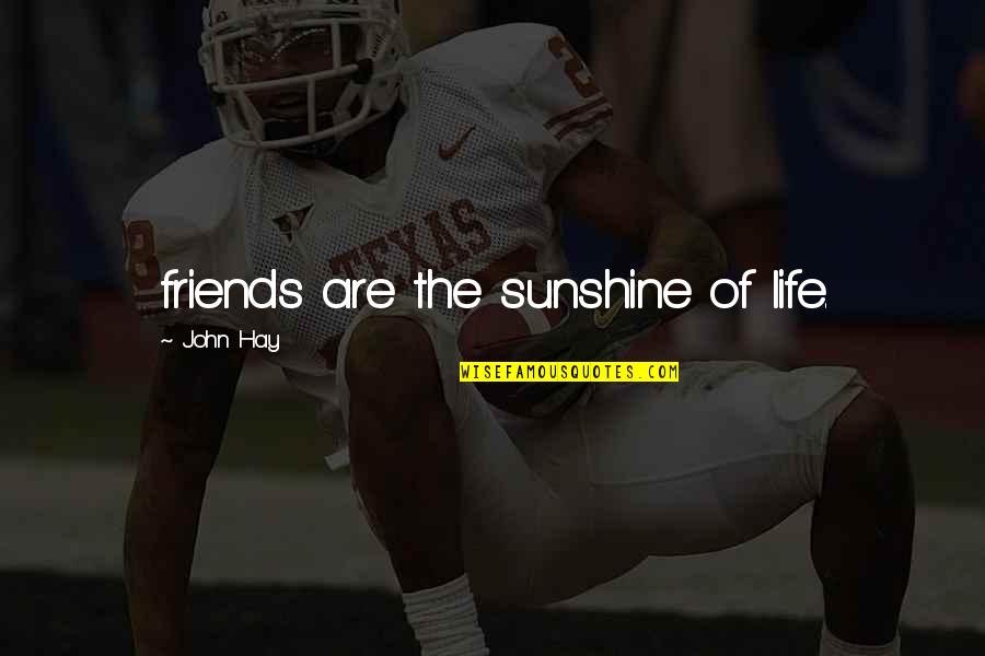 Lao Tse Tao Te Ching Quotes By John Hay: friends are the sunshine of life. Lao Tse Tao Te Ching Quotes By John Hay: friends are the sunshine of life.